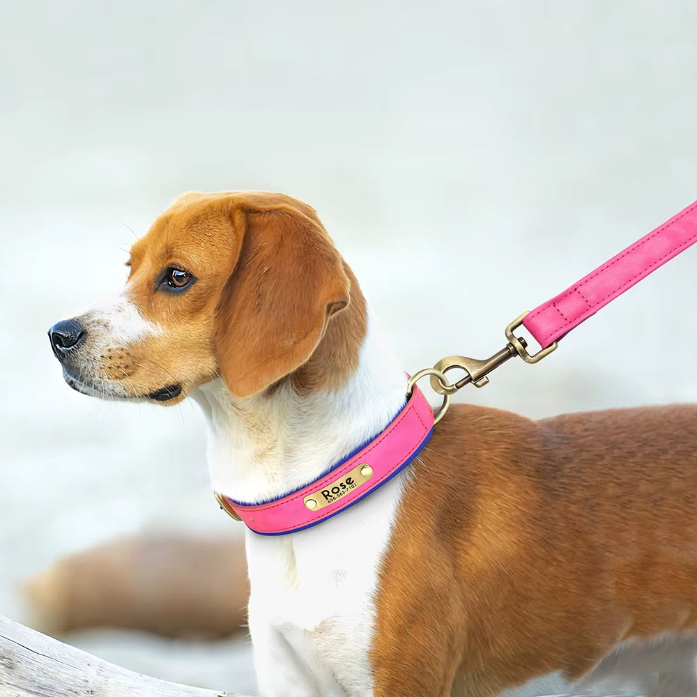 Customized Leather Dog Collar Leash Set Soft Padded Leather Collar for Small Medium Large Dogs with Free Engraved Nameplate